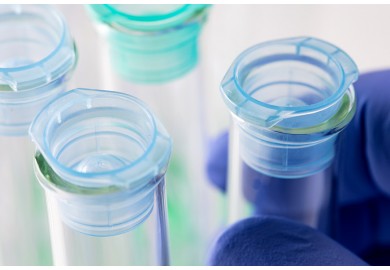 Kire tuma demons vel eum iriure dolor